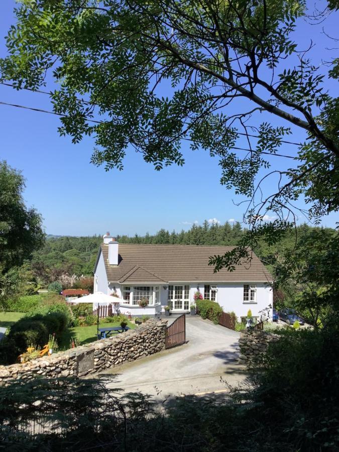 O' Sullivan'S B & B Kilclogherane Exteriér fotografie